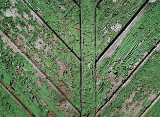 Wall Mural - Old green cracked paint on top of a wooden door. Texture and grunge background, diagonal orientation.