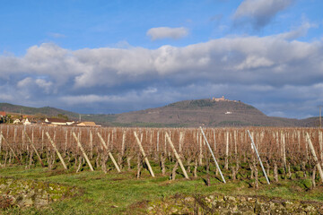 Alsace, December: view of Vineyards at Chateau de Kaysersberg