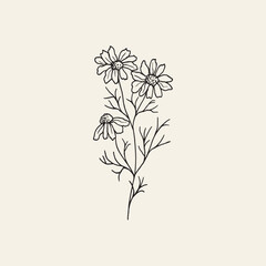 Wall Mural - Hand drawn chamomile flower branch