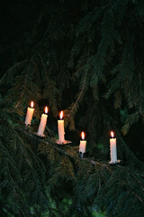 Canvas Print - burning candles on fir tree branches outdoor, dark natural background. christmas tree with candles. Witchcraft, Esoteric spiritual practice. magic Ritual