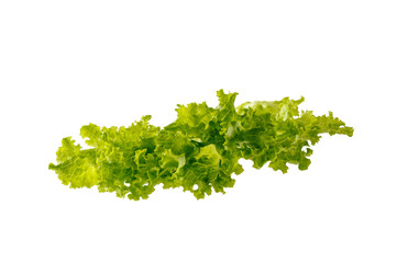 lettuce leaves on a white background