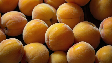 Wall Mural - apricots on the market