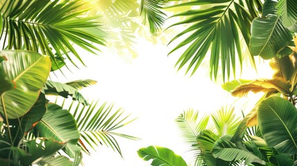 Canvas Print - Tropical plant leaves with branches and warm light on white background for green leafy backdrop