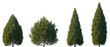 © Viktoria - Set of 4 Thuja occidentalis (known as northern white-cedar, eastern white-cedar, arborvitae) frontal street trees isolated png in sunny daylight on a transparent background perfectly cutout