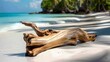 © Lokithi Stock - Intricate driftwood piece weathered by natural elements in diverse landscapes