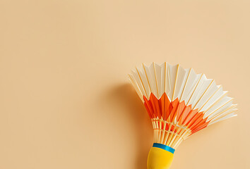 badminton shuttlecock isolated on a colored background