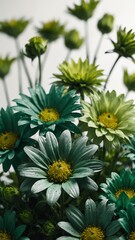 Canvas Print - green flowers on plain white background abstract ad concept copy space