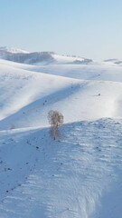Fototapete - Vertical Aerial video from drone on winter snow landscape. Biryuksinsky mountain pass in Altai.