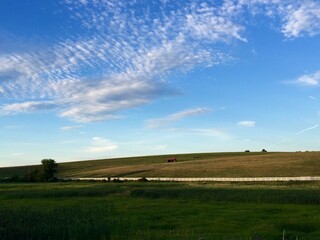 afternoon countryside