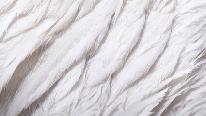 Sticker - White Feathers Texture: A delicate and ethereal close-up of soft, white feathers, perfect for creating backgrounds, patterns, or adding a touch of elegance to your design projects.  