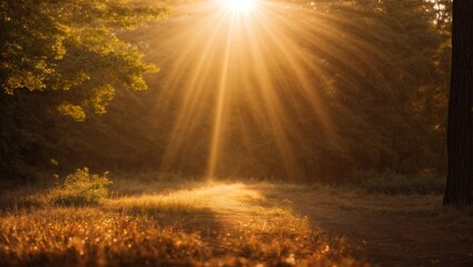 Poster - Golden Hour in the Woods: A mesmerizing scene of golden sunlight bursting through the trees, casting a warm glow on the forest floor, evoking peace and tranquility.