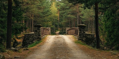 Sticker - Stone Bridge Pathway Through a Forest