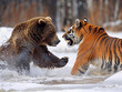 © pavlofox - Grizzly Bear and Bengal Tiger Engaging in a Playful Encounter Near a Snow-Covered Riverbank in Winter