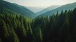 © Matcha_09 - Majestic aerial view of green pine forest and dark spruce trees spanning mountain hills under a clear sky