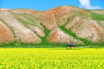 Photo of the mountains and valleys of Qilian Mountains, Qinghai Province, China