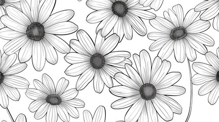 Daisy pattern, hand draw, simple line, black and white. copy space.