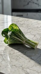 Canvas Print - bok choy on luxurious white marble table countertop in kitchen background ad concept copy space