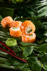 Canvas Print - Fresh Salmon and Cucumber Roll with Philadelphia Surrounded by Lush Green Leaves