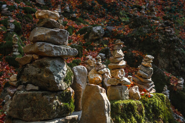 Wall Mural - Autumn forest