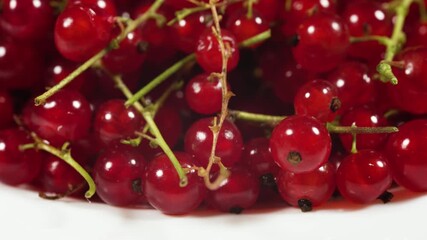 Wall Mural - natural, juicy red currants in a white, close-up selective focus.