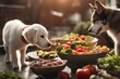 © sandra - meat veggies dog choosing cat food together choice chicken pet animal nourishment table ravenous background white cute diet bad eat funny humor serve concept fruit rice oatmeal carrot blueberry bacon