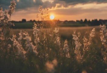 Wall Mural - time summer village sunset background sky travel nature city landscape light building sun mountain a