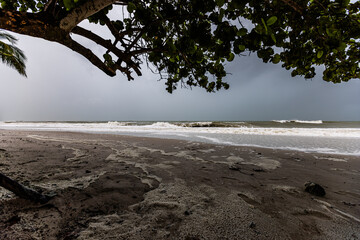 Tropical Storm Debby Naples Beach