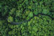 © artrachen - High angle view of winding road in green forest, green transportation and nature conservation.