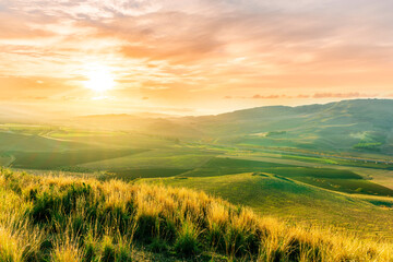 beautiful landscape in a yellow golden field in autumn or summer evening with nice rustic view of hi