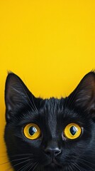 Wall Mural - Mesmerizing golden eyes of a black cat peek from the bottom of the frame, contrasting strikingly against a vibrant yellow background. Feline mystery captured.