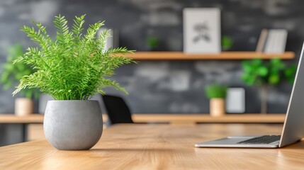 Wall Mural - A contemporary workspace showcasing a vibrant potted fern alongside a sleek laptop on a polished wooden desk