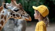 © Chano_1_na - A child in a yellow hat gazes at a giraffe, showcasing a moment of wonder and curiosity in a serene zoo setting.