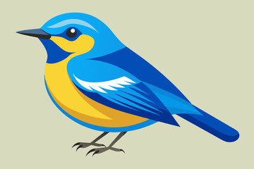 Wall Mural -  Blue-winged Warbler bird vector art illustration