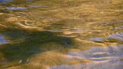 Wall Mural - Clear water in the river. Natural background. Waves on the surface of the water. Sandy bottom.