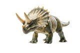 Realistic triceratops dinosaur with detailed textures. PNG image