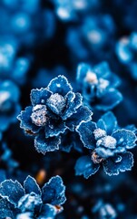 Wall Mural - A bunch of blue flowers covered in frost on a blue background