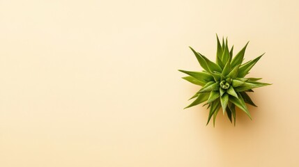 Sticker - Green plant on a beige background, perfect for minimalist designs.