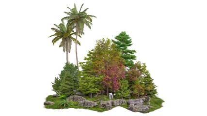 Poster - small tree group footage, tree animation 3d illustration rendering