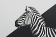 © ADDICTIVE STOCK - Black and white image of a zebra with geometric backdrop. Generative AI image