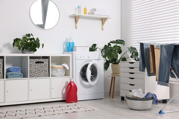 Wall Mural - Washing machine, furniture, detergents, laundry, houseplants and drying rack indoors