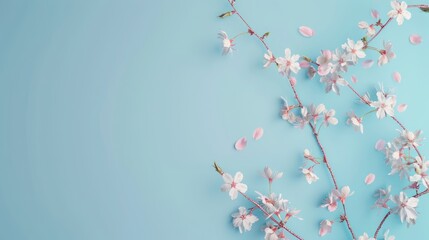 Canvas Print - Delicate Pink Cherry Blossoms on a Blue Background