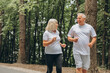 © anatoliycherkas - Running, sunshine and senior couple with fitness, exercise and bonding together with challenge. People in park, old man or mature woman with training, retirement and wellness with smile or lens flare