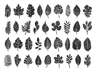 Sticker - Different Leaves Linocut Print Style Icons Set Neat Thick Strokes and Shapes Black on White Background Leaf Varieties Botanical Illustrations Foliage Plant Icons Nature Graphics