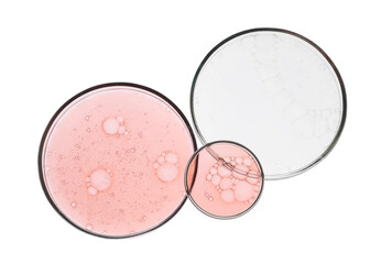 Wall Mural - Petri dishes with samples isolated on white, top view