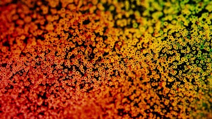 Wall Mural - an abstract colorful background featuring various textures and diverse patterns within it. design
