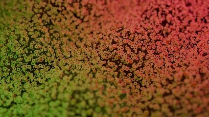 Wall Mural - a vibrant abstract colorful texture featuring rich green and red hues for artistic endeavors. design