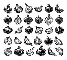 Wall Mural - Onions in Different Angles Whole and Cut Slices Linocut Style Icons Set Black on White Background Vegetable Illustrations Culinary Ingredients Kitchen Produce Organic Food