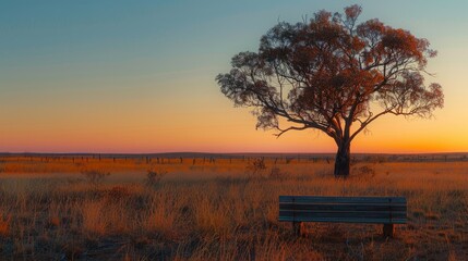 Wall Mural - Stunning sunset over australian outback plains with lone tree and bench