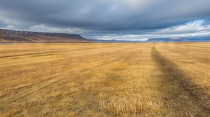 Poster -   A vast open field surrounded by tall blades of grass, leading to majestic mountains on the horizon