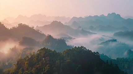 Wall Mural -   Aerial view of a mountain range with trees in the foreground and fog in the background